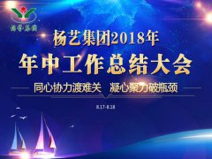 南宫NG28集团2018年中总结报告（摘要）