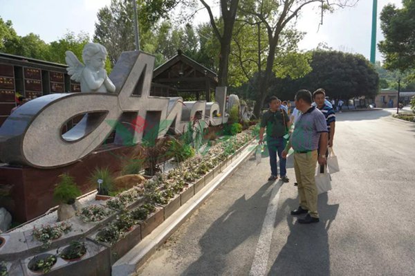 南宫NG28相信品牌的实力网址(中国)官网