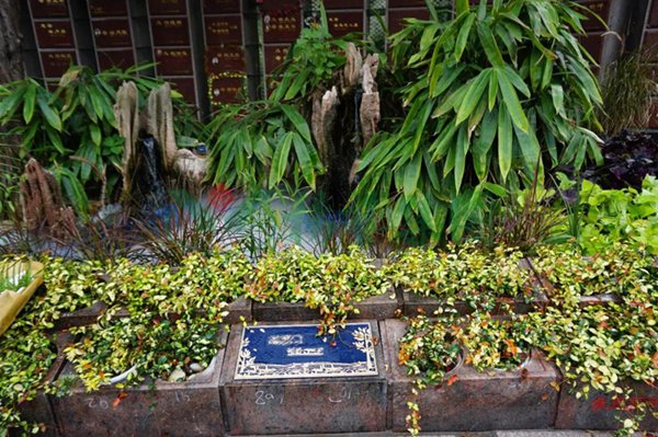 南宫NG28相信品牌的实力网址(中国)官网