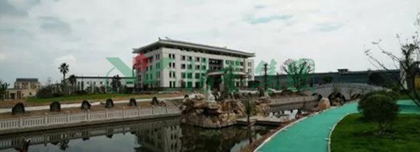 南宫NG28相信品牌的实力网址(中国)官网