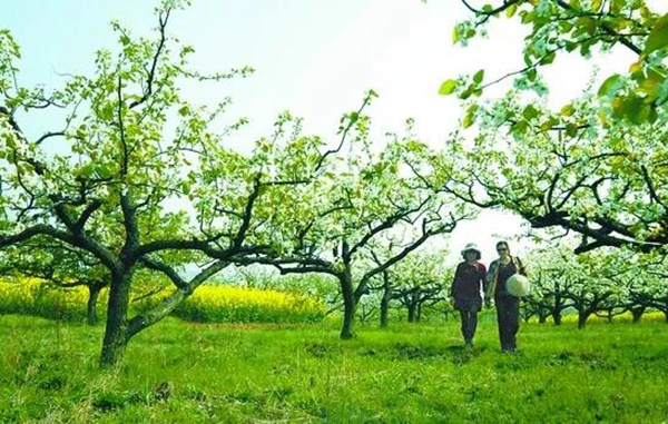 南宫NG28相信品牌的实力网址(中国)官网