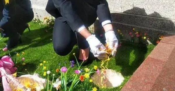 南宫NG28相信品牌的实力网址(中国)官网