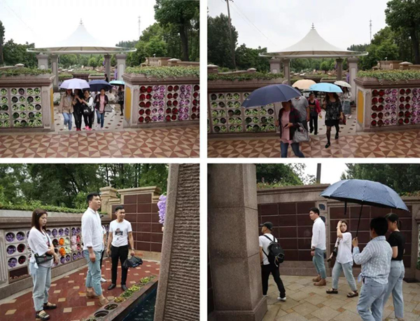 南宫NG28相信品牌的实力网址(中国)官网