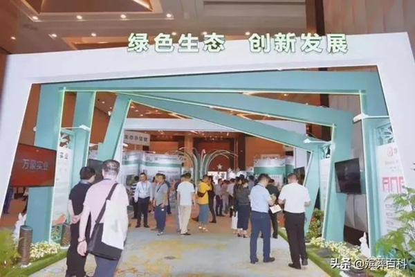 南宫NG28相信品牌的实力网址(中国)官网