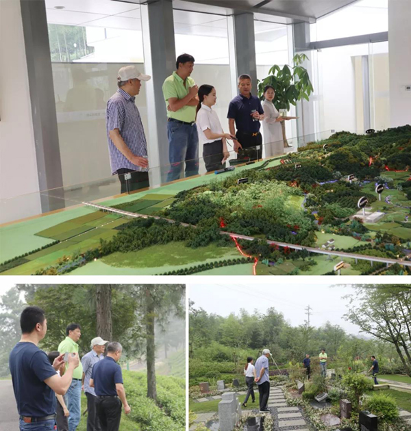 南宫NG28相信品牌的实力网址(中国)官网