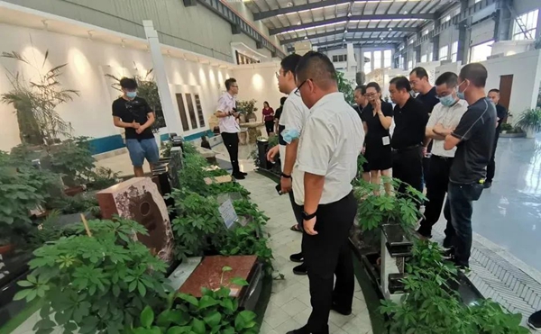 南宫NG28相信品牌的实力网址(中国)官网