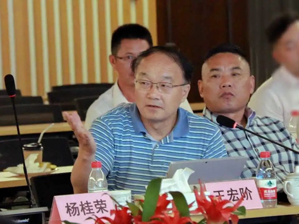 南宫NG28相信品牌的实力网址(中国)官网