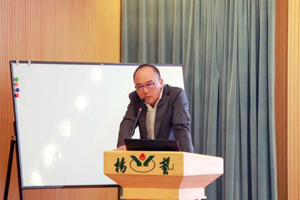 南宫NG28相信品牌的实力网址(中国)官网