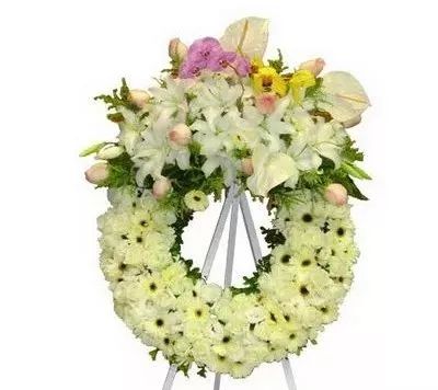 南宫NG28相信品牌的实力网址(中国)官网