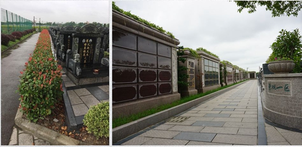 南宫NG28相信品牌的实力网址(中国)官网