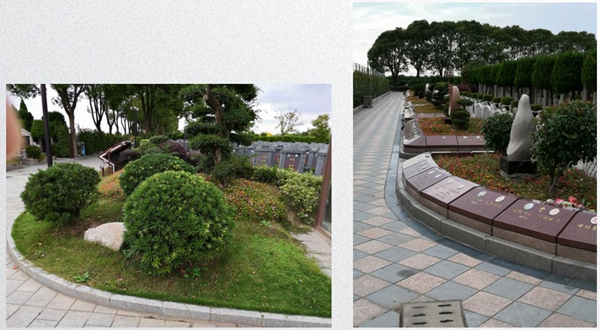 南宫NG28相信品牌的实力网址(中国)官网