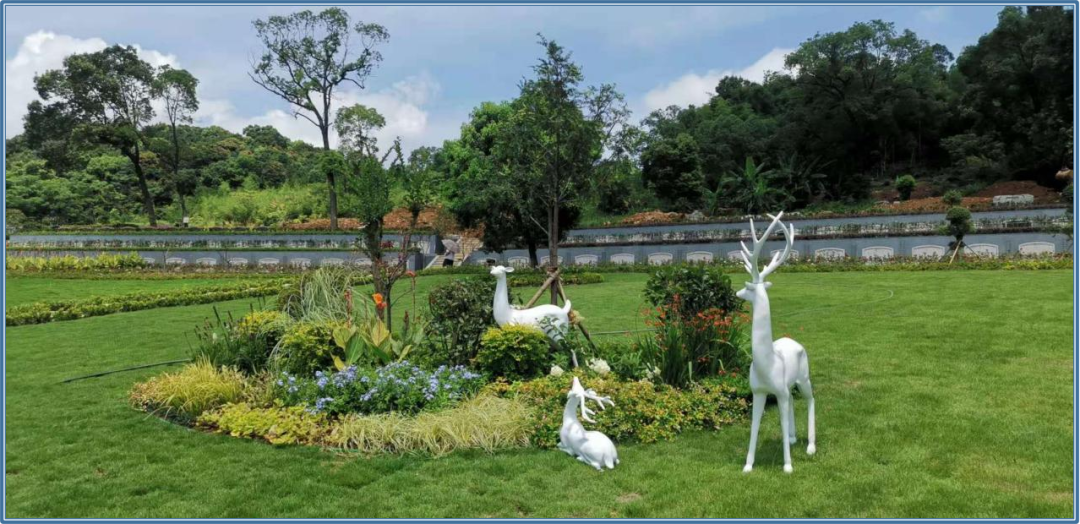 南宫NG28相信品牌的实力网址(中国)官网