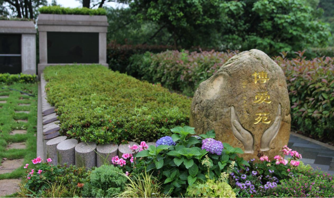 南宫NG28相信品牌的实力网址(中国)官网