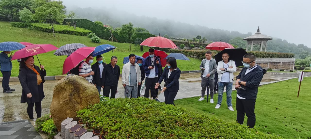 南宫NG28相信品牌的实力网址(中国)官网