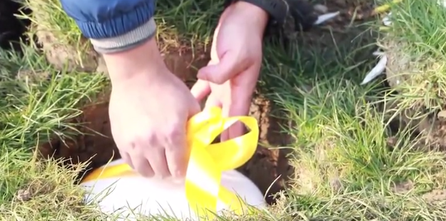 南宫NG28相信品牌的实力网址(中国)官网