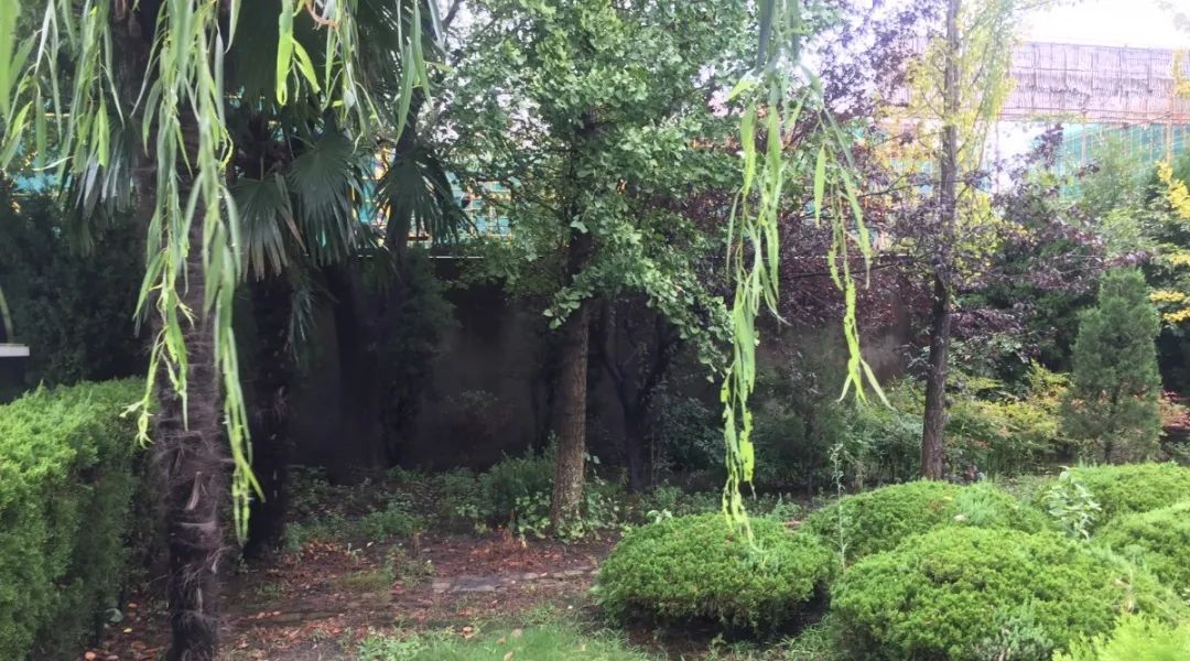 南宫NG28相信品牌的实力网址(中国)官网