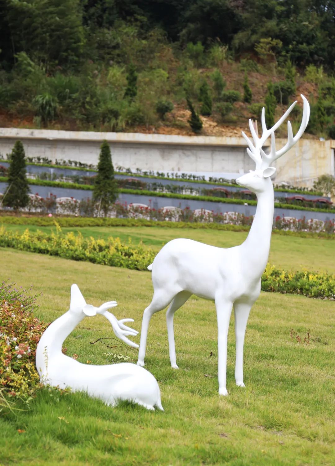 南宫NG28相信品牌的实力网址(中国)官网