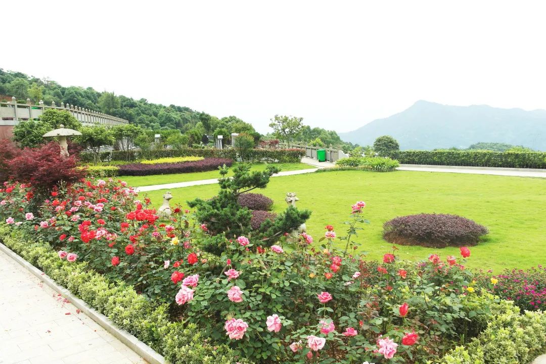 南宫NG28相信品牌的实力网址(中国)官网