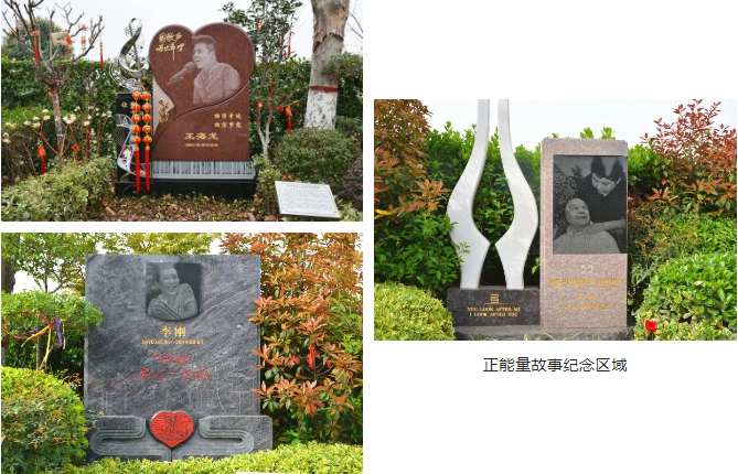 南宫NG28相信品牌的实力网址(中国)官网