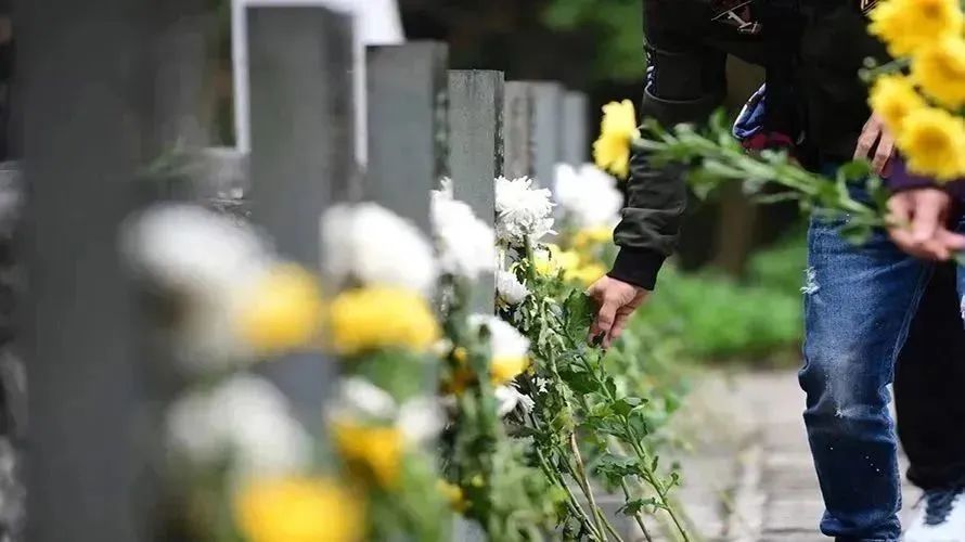 南宫NG28相信品牌的实力网址(中国)官网