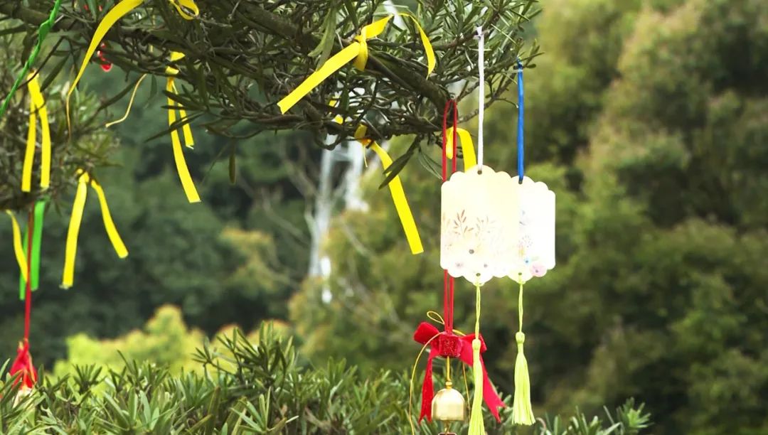 南宫NG28相信品牌的实力网址(中国)官网