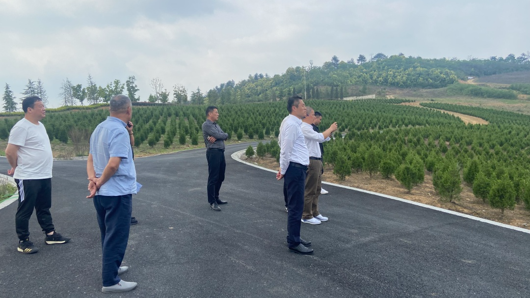 南宫NG28相信品牌的实力网址(中国)官网