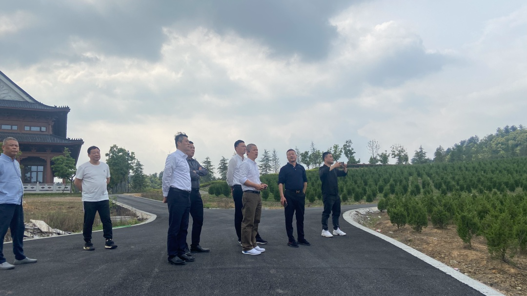 南宫NG28相信品牌的实力网址(中国)官网