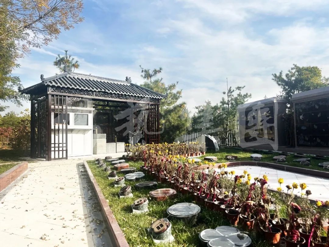 南宫NG28相信品牌的实力网址(中国)官网