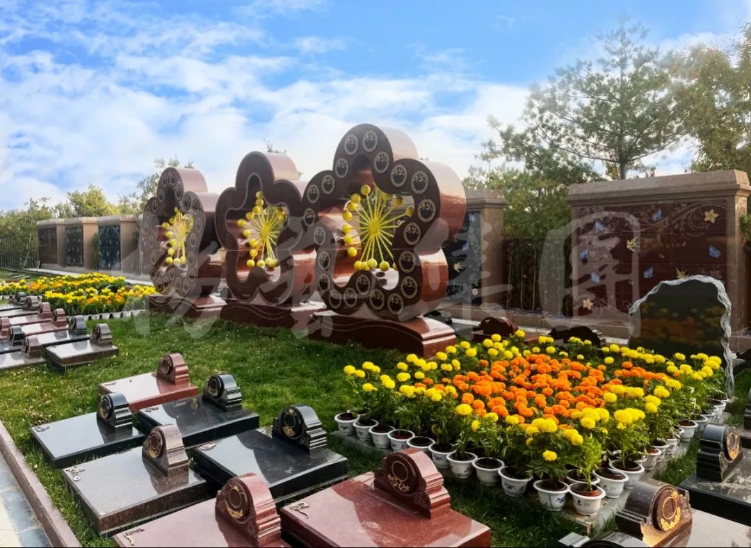 南宫NG28相信品牌的实力网址(中国)官网