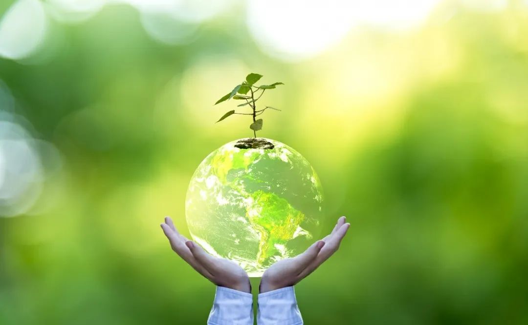 南宫NG28相信品牌的实力网址(中国)官网