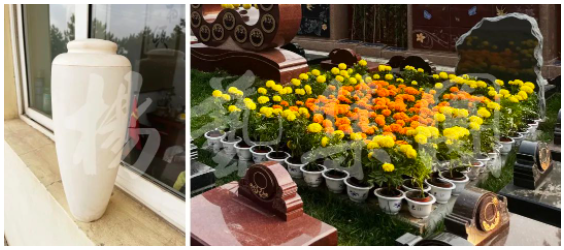 南宫NG28相信品牌的实力网址(中国)官网