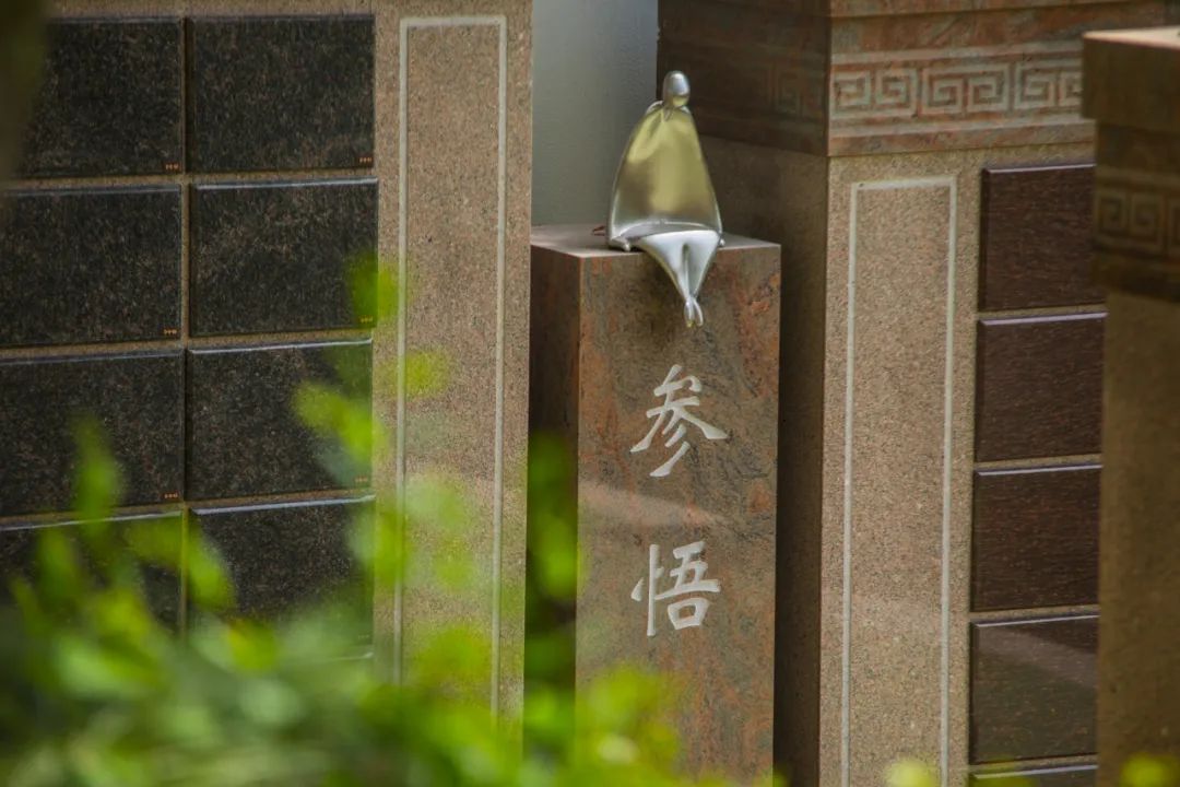 南宫NG28相信品牌的实力网址(中国)官网