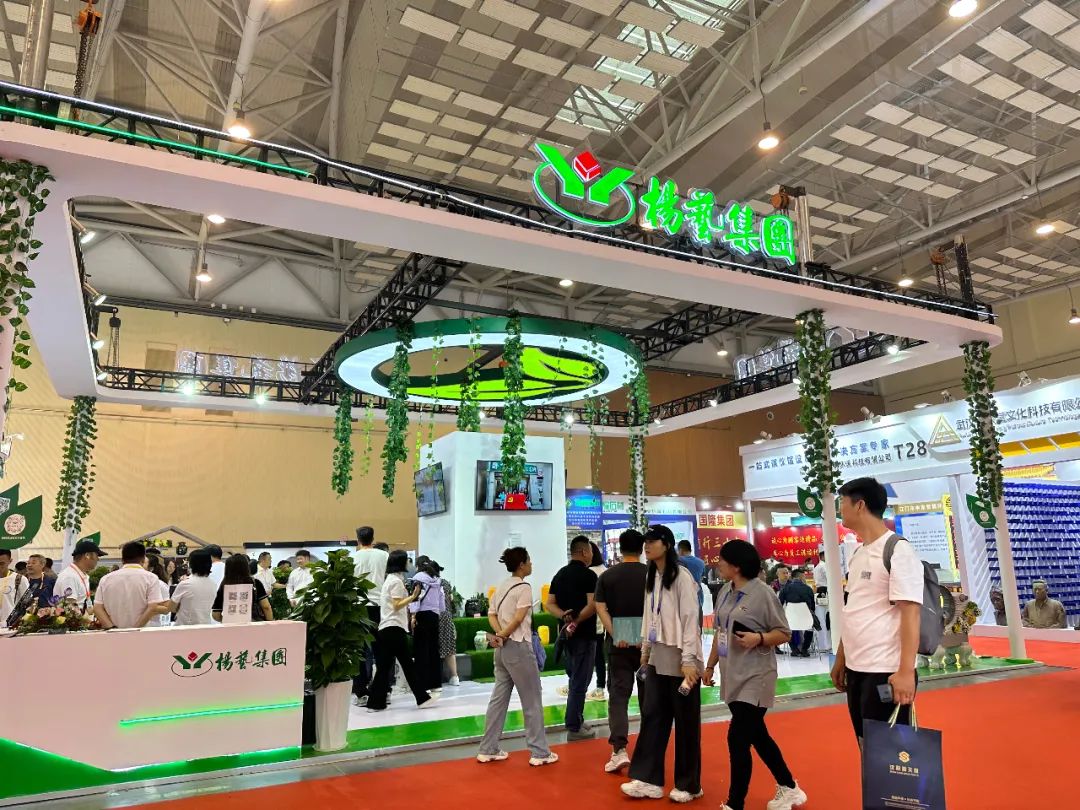 南宫NG28相信品牌的实力网址(中国)官网