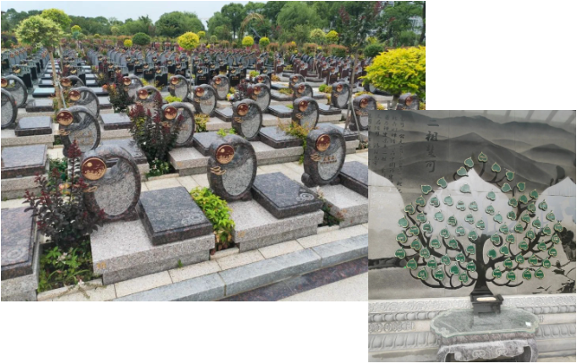 南宫NG28相信品牌的实力网址(中国)官网