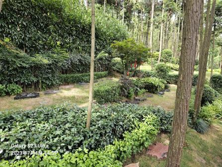 南宫NG28相信品牌的实力网址(中国)官网