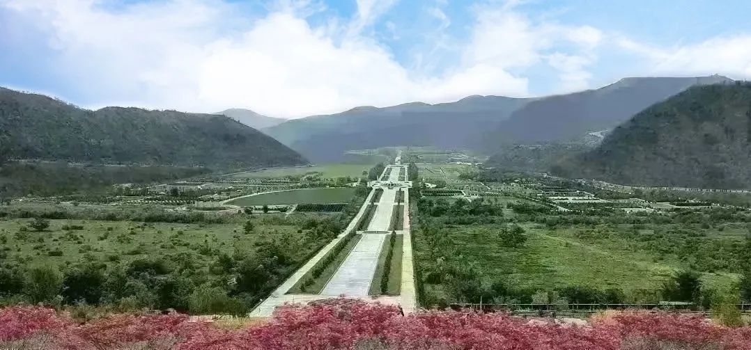 南宫NG28相信品牌的实力网址(中国)官网