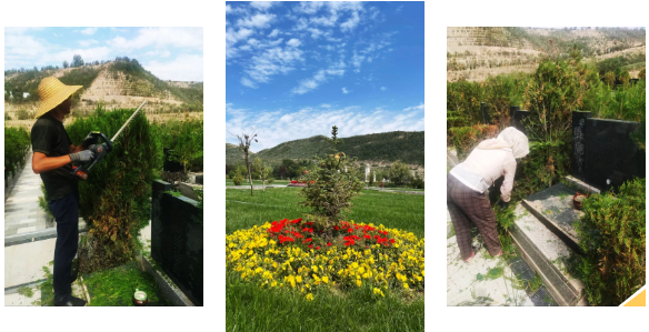 南宫NG28相信品牌的实力网址(中国)官网