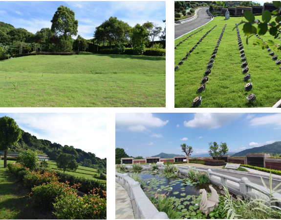 南宫NG28相信品牌的实力网址(中国)官网