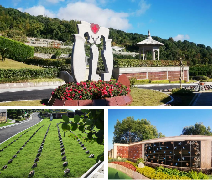 南宫NG28相信品牌的实力网址(中国)官网