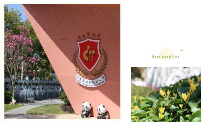 南宫NG28相信品牌的实力网址(中国)官网