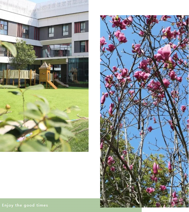 南宫NG28相信品牌的实力网址(中国)官网