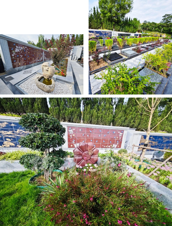 南宫NG28相信品牌的实力网址(中国)官网