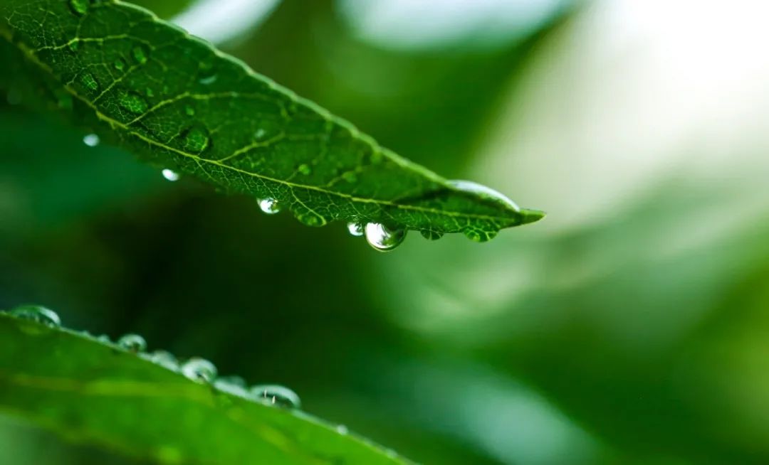 南宫NG28相信品牌的实力网址(中国)官网