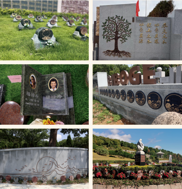 南宫NG28相信品牌的实力网址(中国)官网