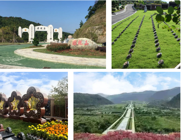 南宫NG28相信品牌的实力网址(中国)官网