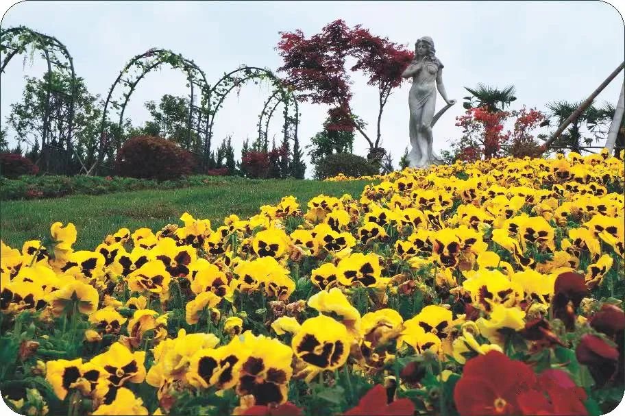 南宫NG28相信品牌的实力网址(中国)官网