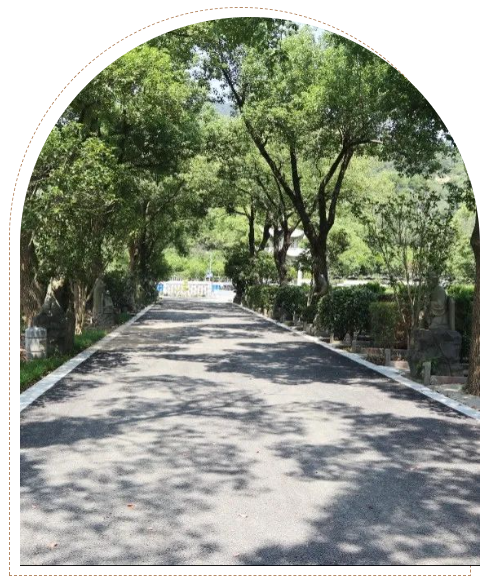 南宫NG28相信品牌的实力网址(中国)官网