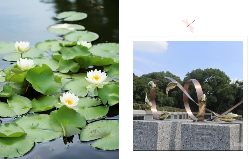 南宫NG28相信品牌的实力网址(中国)官网