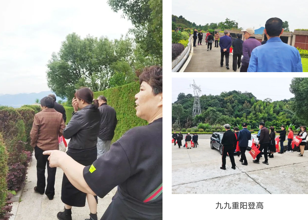 南宫NG28相信品牌的实力网址(中国)官网