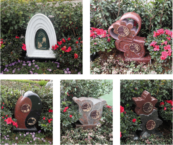 南宫NG28相信品牌的实力网址(中国)官网